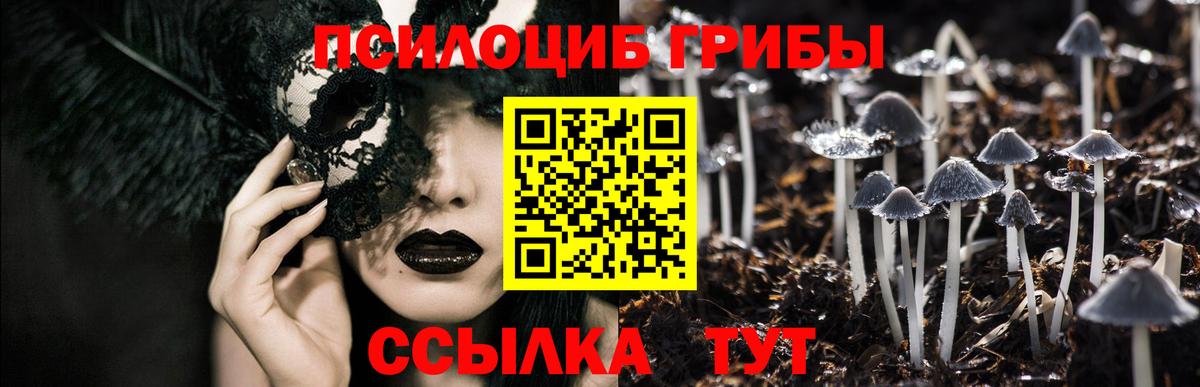 Псилоцибиновые грибы Cubensis  Псилоцибиновые грибы мицелий  Вход с VPN  Сорочинск 