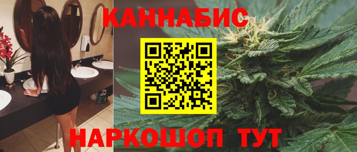 Конопля гибрид  Конопля конопля  Каннабис семена  Сорочинск  Вход с VPN 